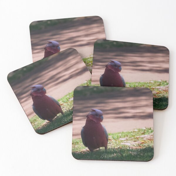 Item preview, Galah going for a walk designed and sold by hendrikspix.