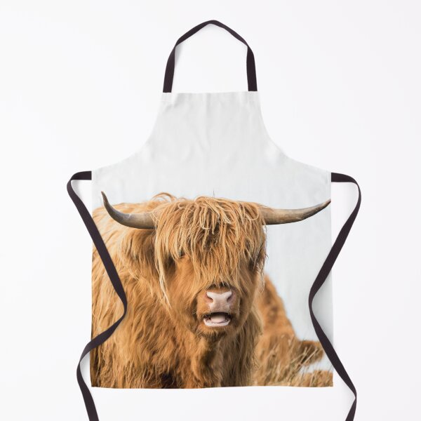 Cheeky Moo, Highland Cow Apron for Sale by Jane Stanley