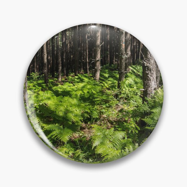 Item preview, Because Summer - Sun Dappled Ferns and Pine Trees designed and sold by Georgia Mizuleva.