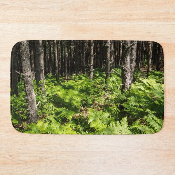 Item preview, Because Summer - Sun Dappled Ferns and Pine Trees designed and sold by Georgia Mizuleva.
