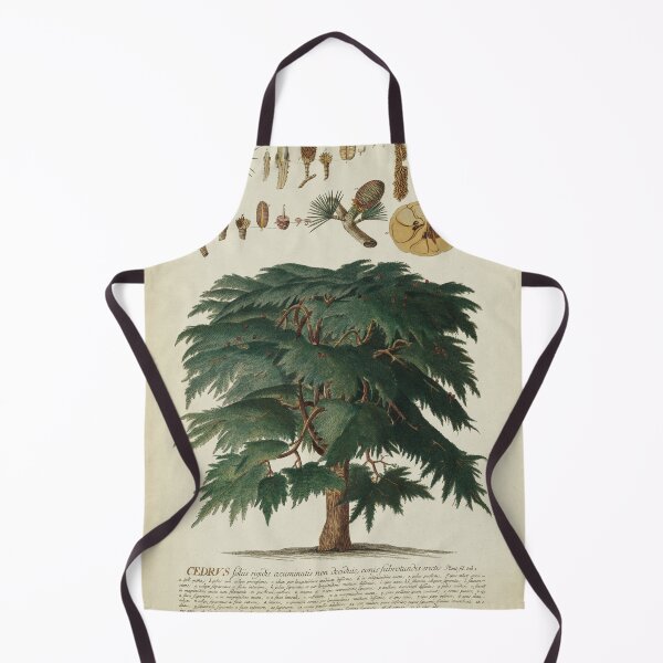 Item preview, Cedar Tree. Botanical Study designed and sold by LeAllureVintage.