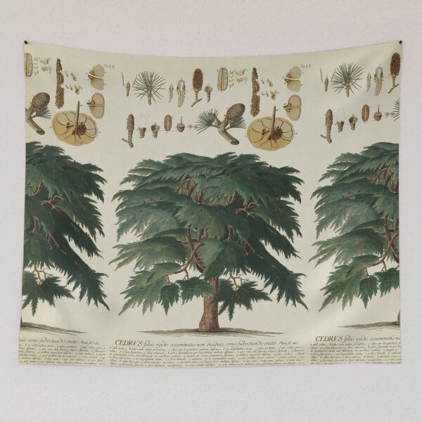 Item preview, Cedar Tree. Botanical Study designed and sold by LeAllureVintage.