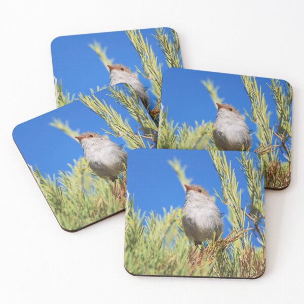 Item preview, Female splendid fairywren on the lookout designed and sold by hendrikspix.
