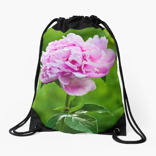 Aperçu de l'œuvre Pivoine rose créée et vendue par ginawaltersdorf.