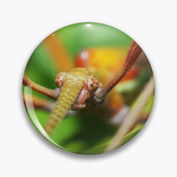 Item preview, Stick insect macro photo designed and sold by hendrikspix.