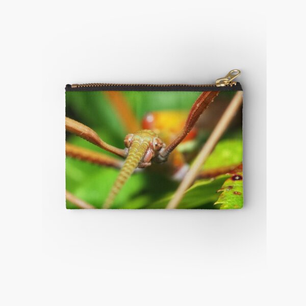 Item preview, Stick insect macro photo designed and sold by hendrikspix.
