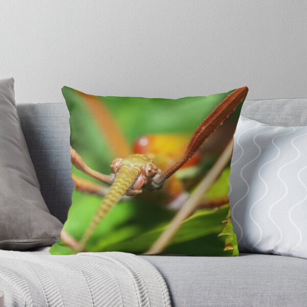Item preview, Stick insect macro photo designed and sold by hendrikspix.