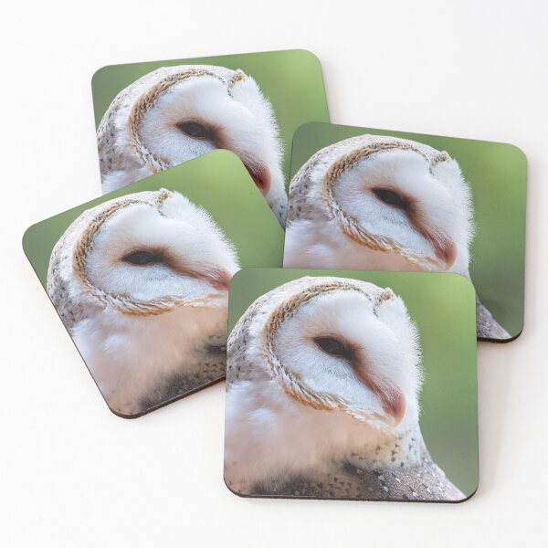 Item preview, Barn owl portrait closeup photo designed and sold by hendrikspix.