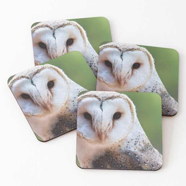 Item preview, Barn owl portrait closeup photo designed and sold by hendrikspix.