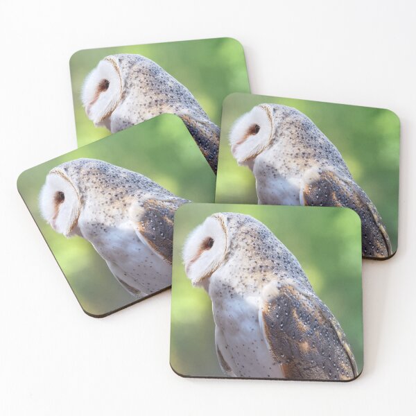 Item preview, Barn owl portrait closeup photo designed and sold by hendrikspix.