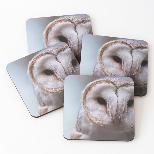 Item preview, Barn owl portrait closeup photo designed and sold by hendrikspix.