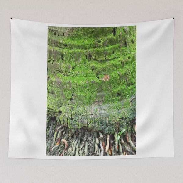 Item preview, Moss covered Very old tree trunk closeup  designed and sold by FCEalin.