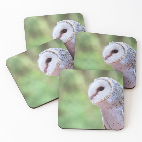 Item preview, Barn owl portrait closeup photo designed and sold by hendrikspix.