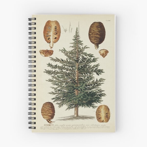 Item preview, Cedar Tree, narrow cedar designed and sold by LeAllureVintage.