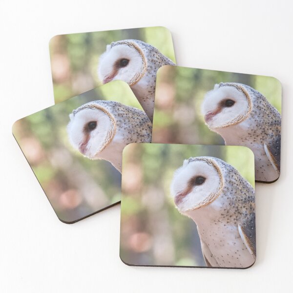 Item preview, Barn owl portrait closeup photo designed and sold by hendrikspix.