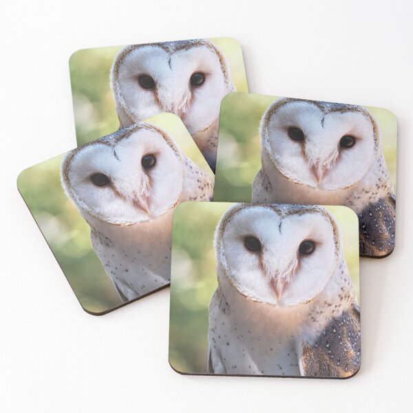 Item preview, Barn owl portrait closeup photo designed and sold by hendrikspix.