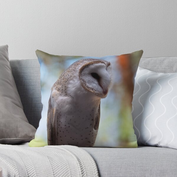 Item preview, Barn owl portrait closeup photo designed and sold by hendrikspix.