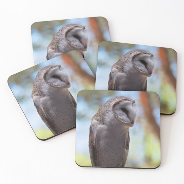 Item preview, Barn owl portrait closeup photo designed and sold by hendrikspix.