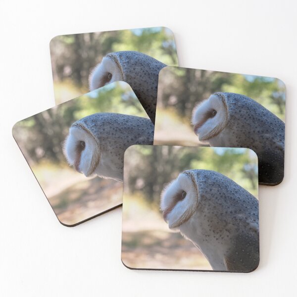 Item preview, Barn owl portrait closeup photo designed and sold by hendrikspix.