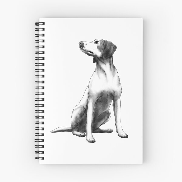 Item preview, Sitting Istrian Shorthaired Hound Dog designed and sold by alwe-designs.