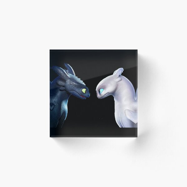 Toothless Night Furry Acrylic Block