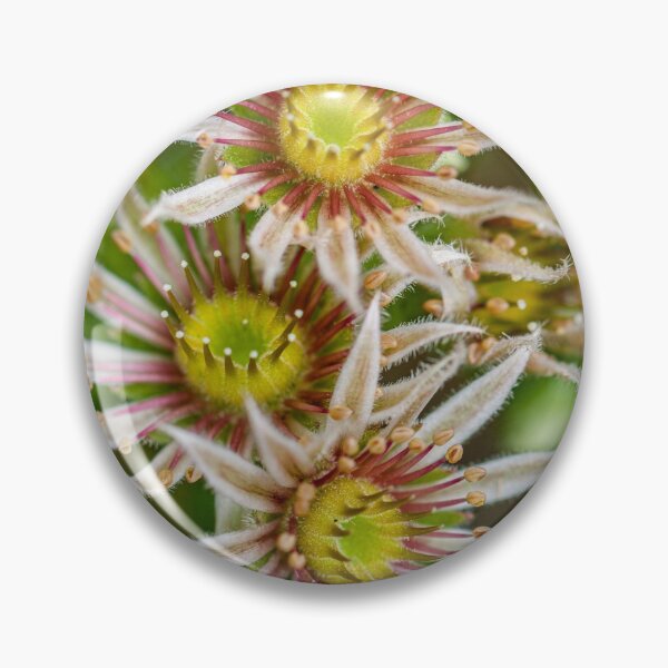 Item preview, Flower cluster designed and sold by Roberd Palm.