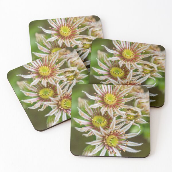 Item preview, Flower cluster designed and sold by Roberd Palm.