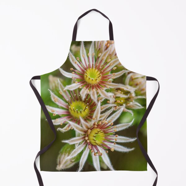 Item preview, Flower cluster designed and sold by Roberd Palm.