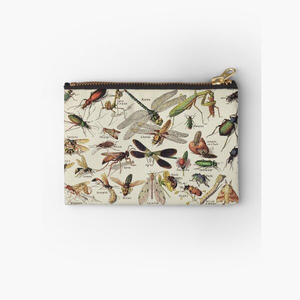 Item preview, Insects Chart. Scientific Illustration, text in french designed and sold by LeAllureVintage.