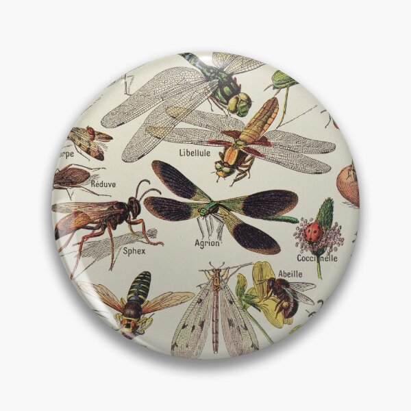 Item preview, Insects Chart. Scientific Illustration, text in french designed and sold by LeAllureVintage.