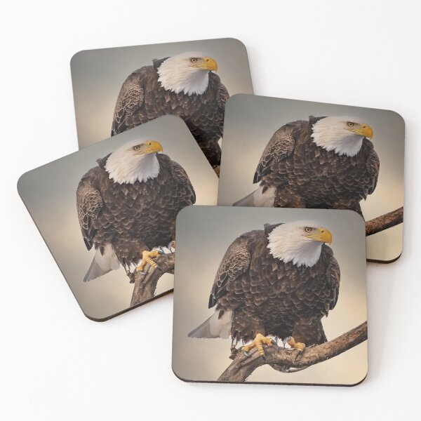 Item preview, Portrait of American Bald Eagle designed and sold by Roger  Swieringa.