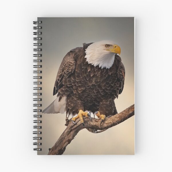 Item preview, Portrait of American Bald Eagle designed and sold by Roger  Swieringa.