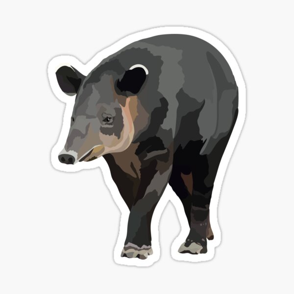 Item preview, B is for Baird’s Tapir,Tapir Artwork – Unique Tropical Mammal Illustration and Wildlife Design designed and sold by PrettylittlepastelUk.