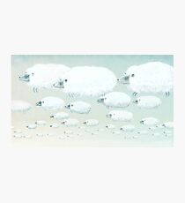 Cloudy Sheep Photographic Print