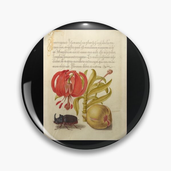 Item preview, Scarlet Turk's Head and Rhinoceros Beetle. designed and sold by Salocin.