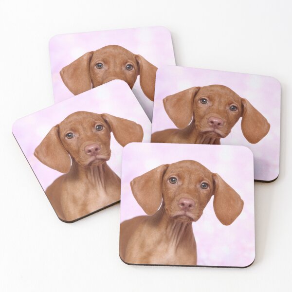 Item preview, Magyar Vizsla puppy designed and sold by JeanettesPets.