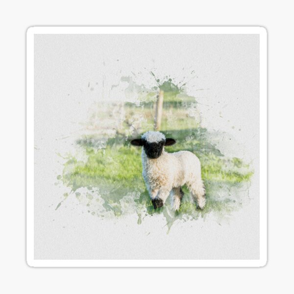 Valais Blacknose Sheep Watercolour Photograph Sticker