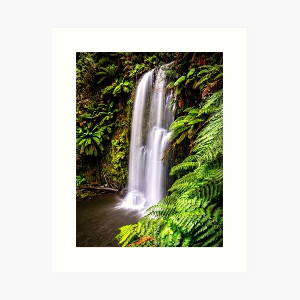 Item preview, Beauchamp Falls Otway Forest  designed and sold by Russell Charters.