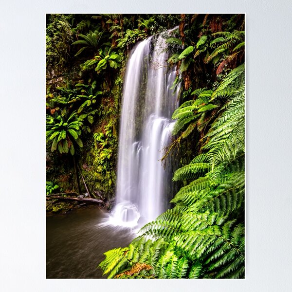Item preview, Beauchamp Falls Otway Forest  designed and sold by Russell Charters.