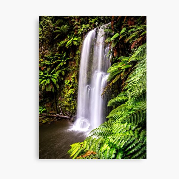 Item preview, Beauchamp Falls Otway Forest  designed and sold by Russell Charters.