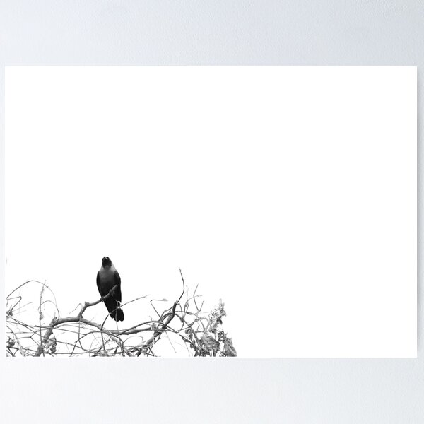 Tara Books “Black Bird Tree” The Black Bird Tree - Tara Books