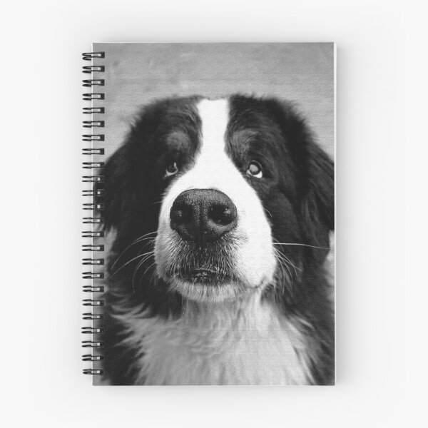 Item preview, Portrait of Bernese Mountain Dog designed and sold by AlbertandOlly.