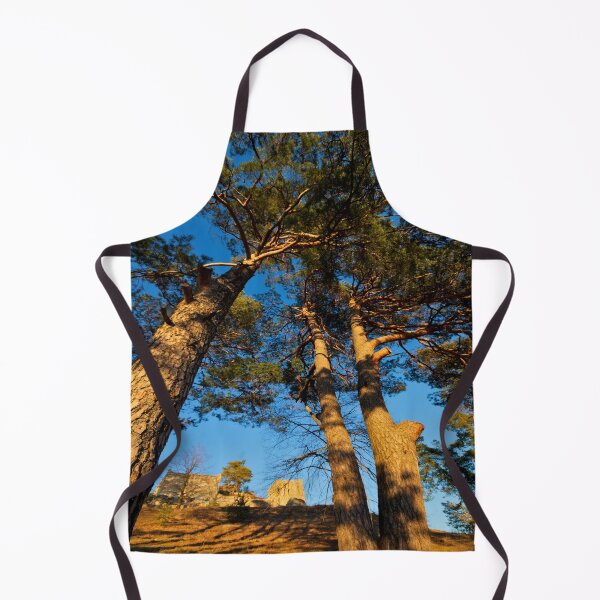 Item preview, Lichtenegg castle ruins in the evening sun designed and sold by frankuffmann.