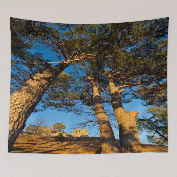 Item preview, Lichtenegg castle ruins in the evening sun designed and sold by frankuffmann.