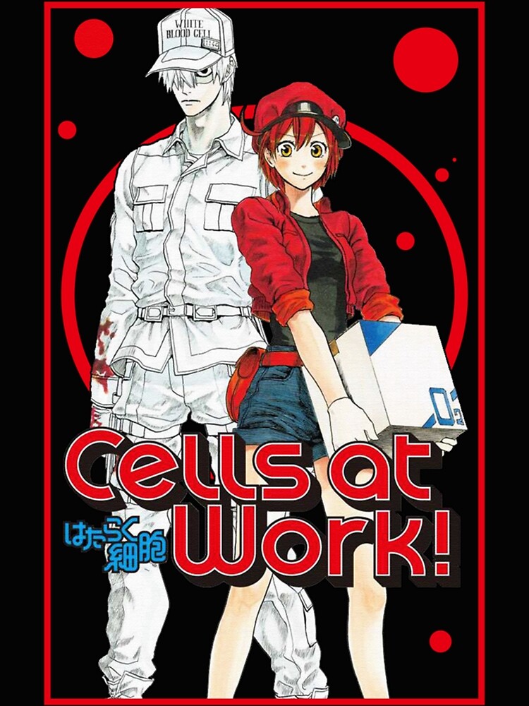 Cells At Work!  Cell, Anime, Character art