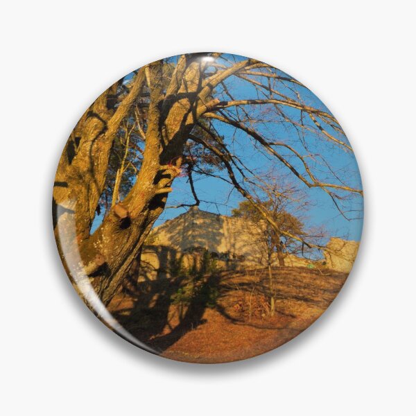 Item preview, Majestic tree in front of the Lichtenegg castle ruins in the evening sun designed and sold by frankuffmann.