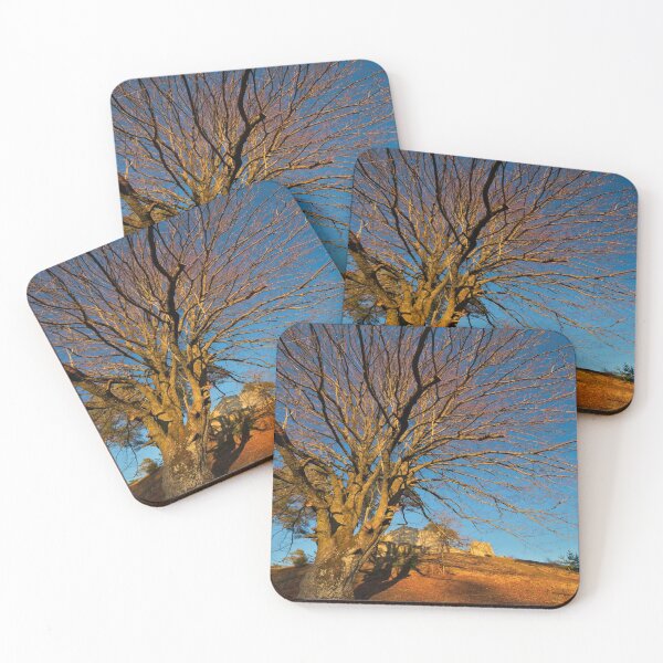 Item preview, Majestic tree in front of the Lichtenegg castle ruins in the evening sun designed and sold by frankuffmann.