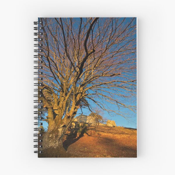 Item preview, Majestic tree in front of the Lichtenegg castle ruins in the evening sun designed and sold by frankuffmann.