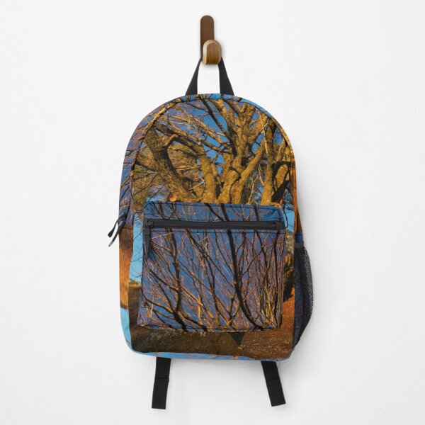 Item preview, Majestic tree in front of the Lichtenegg castle ruins in the evening sun designed and sold by frankuffmann.