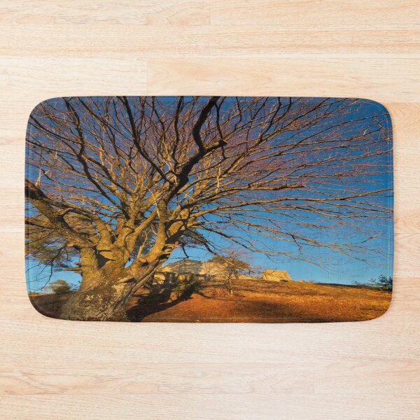 Item preview, Majestic tree in front of the Lichtenegg castle ruins in the evening sun designed and sold by frankuffmann.